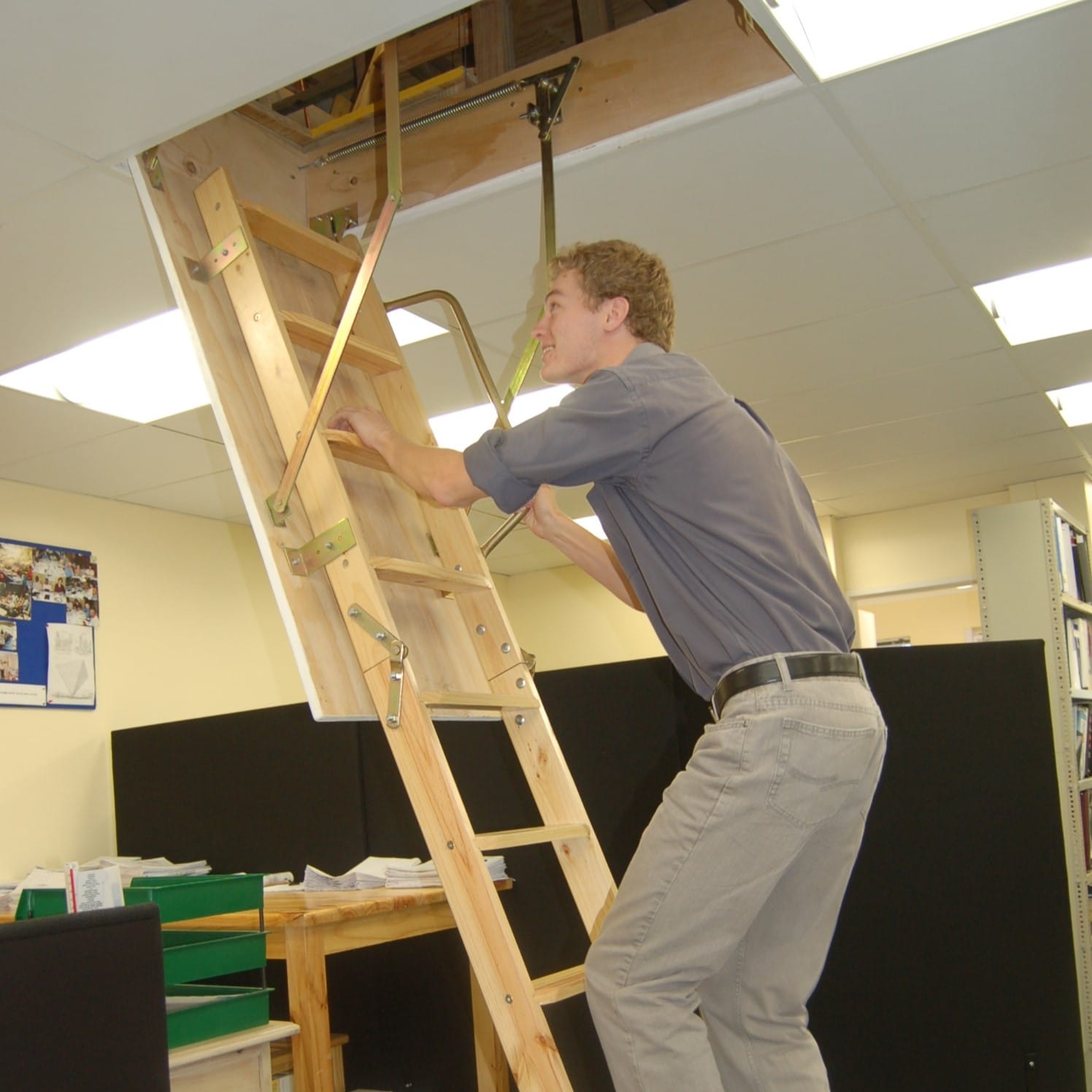 Ladders and Storage Floors